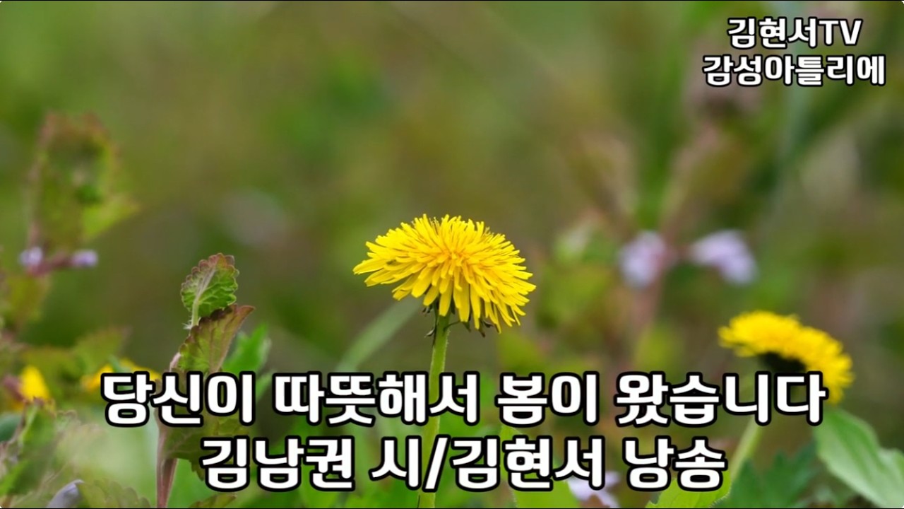 #당신이 따뜻해서 봄이 왔습니다 #김남권 시인 #첫번째 봄 #두번째 봄 #네번째 봄 #김현서tv감성아틀리에 #김현서시낭송가 낭송및 영상 제작