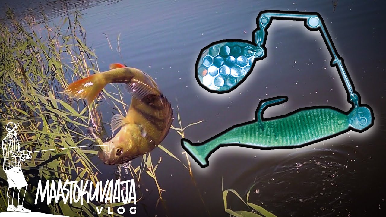 Ahvenia LIPPAHENKARI-JIGILLÄ kapeasta salmesta
