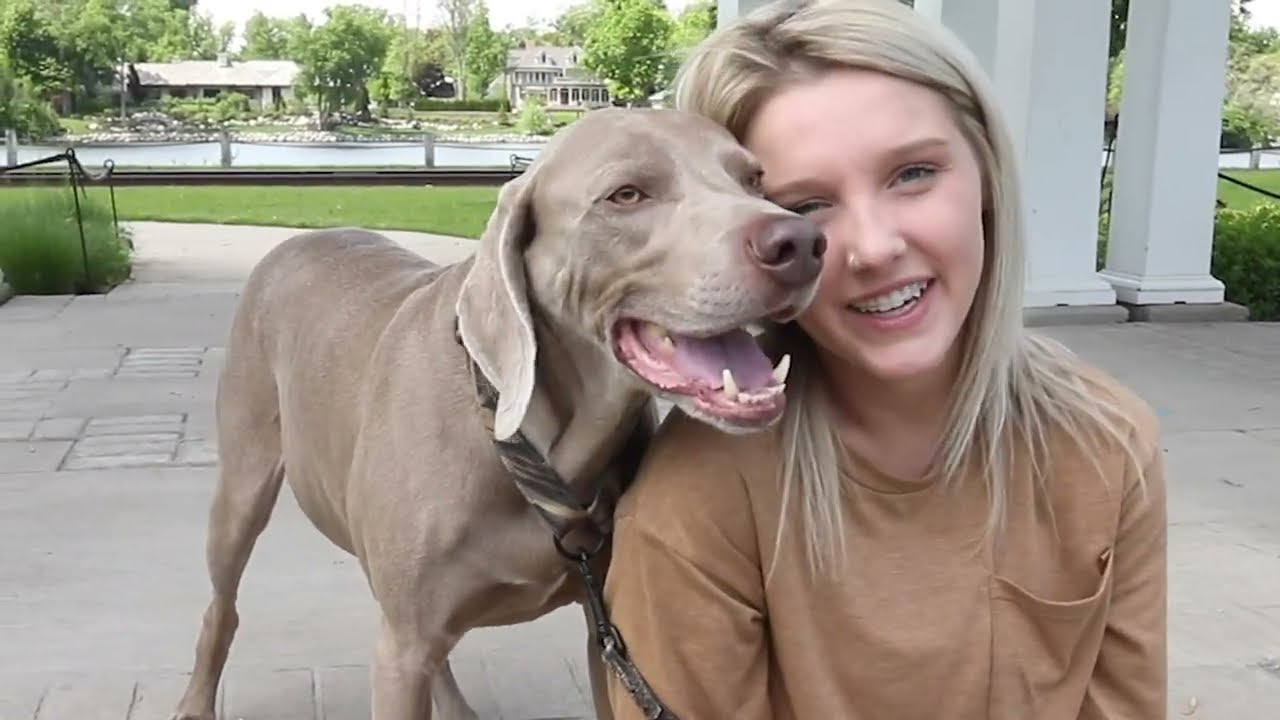 Brianna was 23 when she had her stroke.