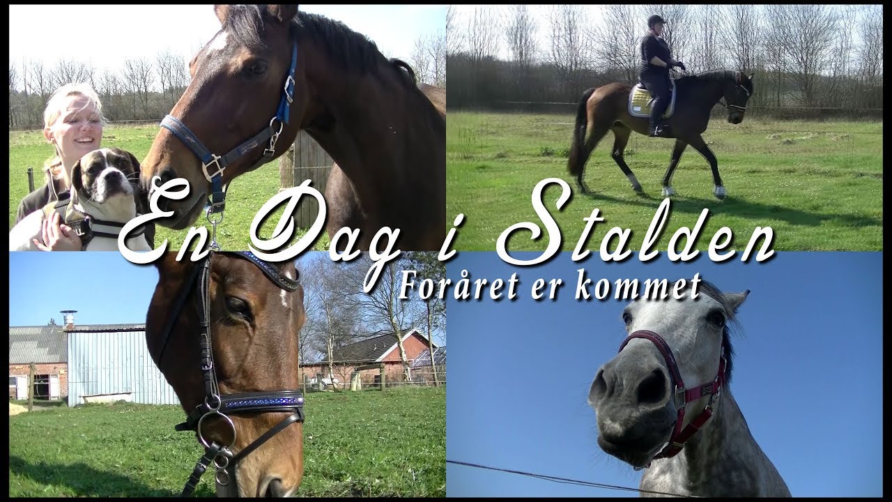 En dag i stalden - Foråret er kommet