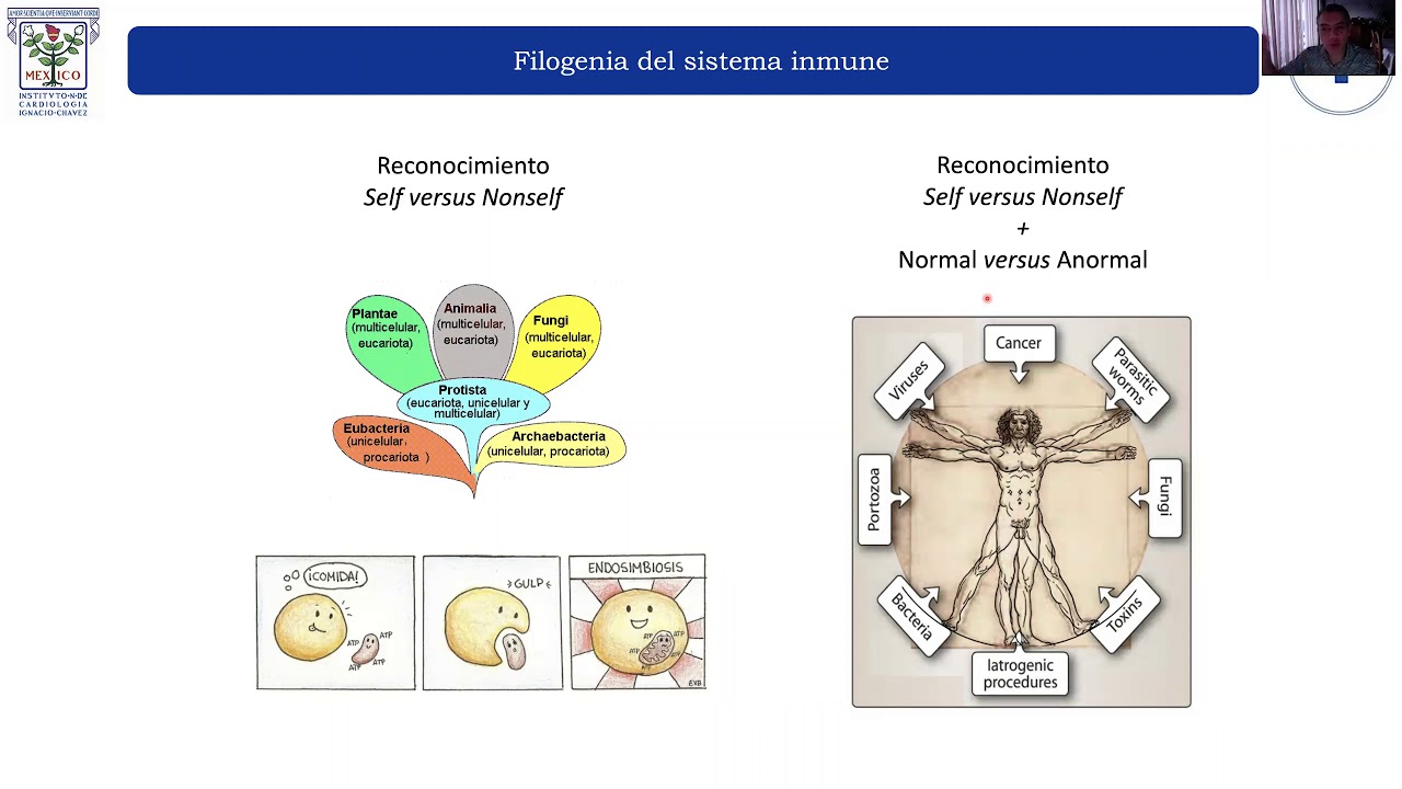Inmunidad innata   Dr  Luis Amezcua