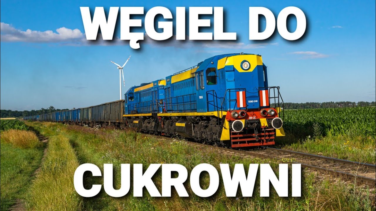 Dwie TEM2 z węglarzem do Cukrowni w Glinojecku