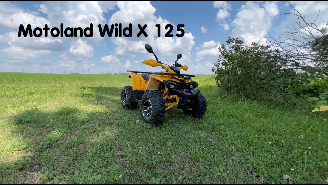 Motoland Wild X 125 Детский квадроцикл. Небольшой обзор а так же немного технической информации