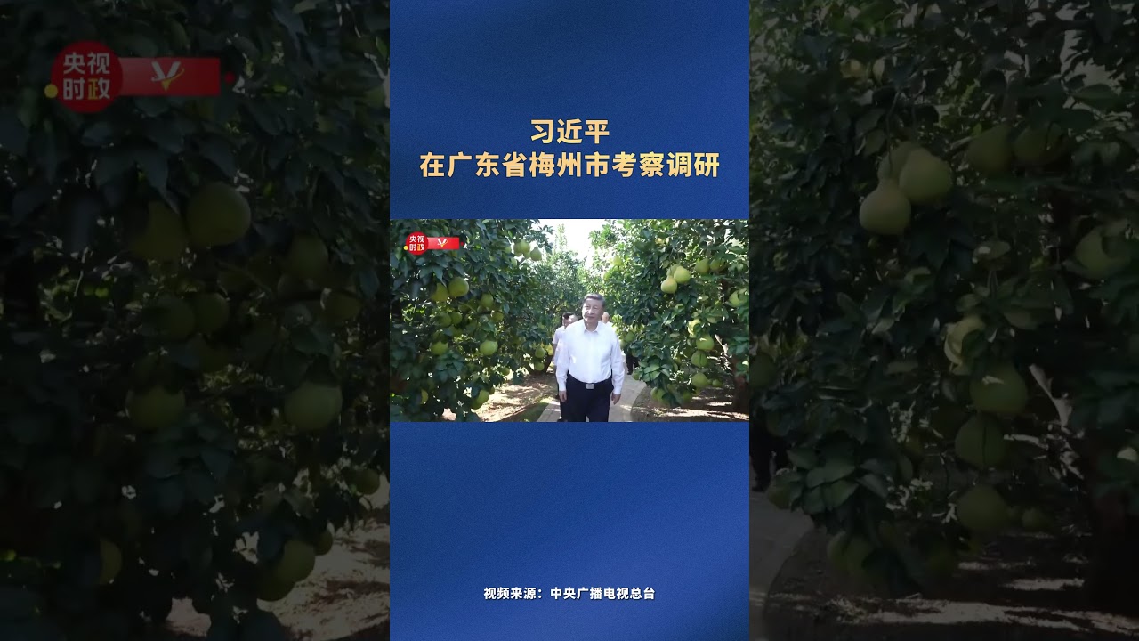 习近平在广东省梅州市考察调研