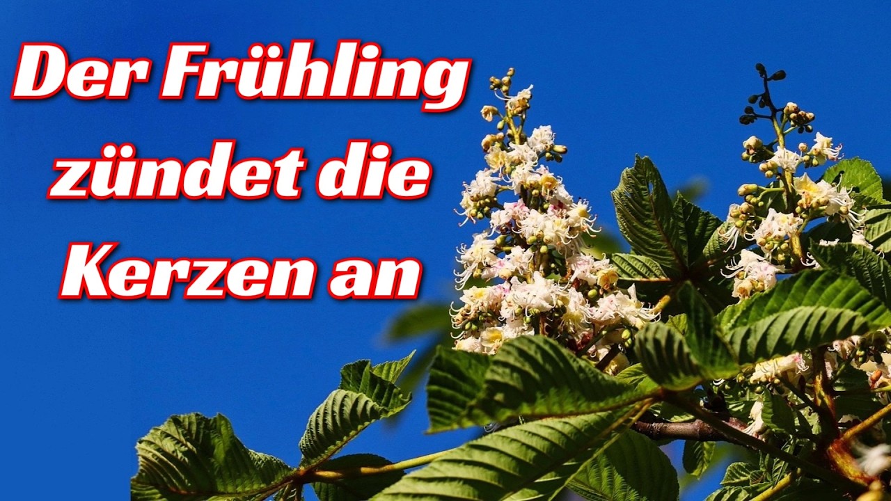 Der Fr&uuml;hling z&uuml;ndet die Kerzen an mit Text - Fr&uuml;hlingslied/German spring song + English translation