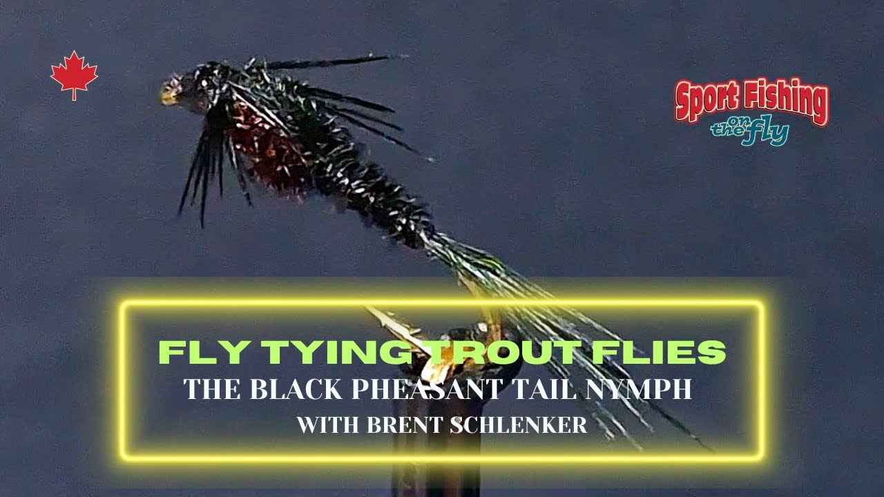 FLY TYING TROUT  FLIES - PRO STAFF ON THE BENCH: THE BLACK PHEASANT TAIL NUMPH WITH BRENT SCHLENKER