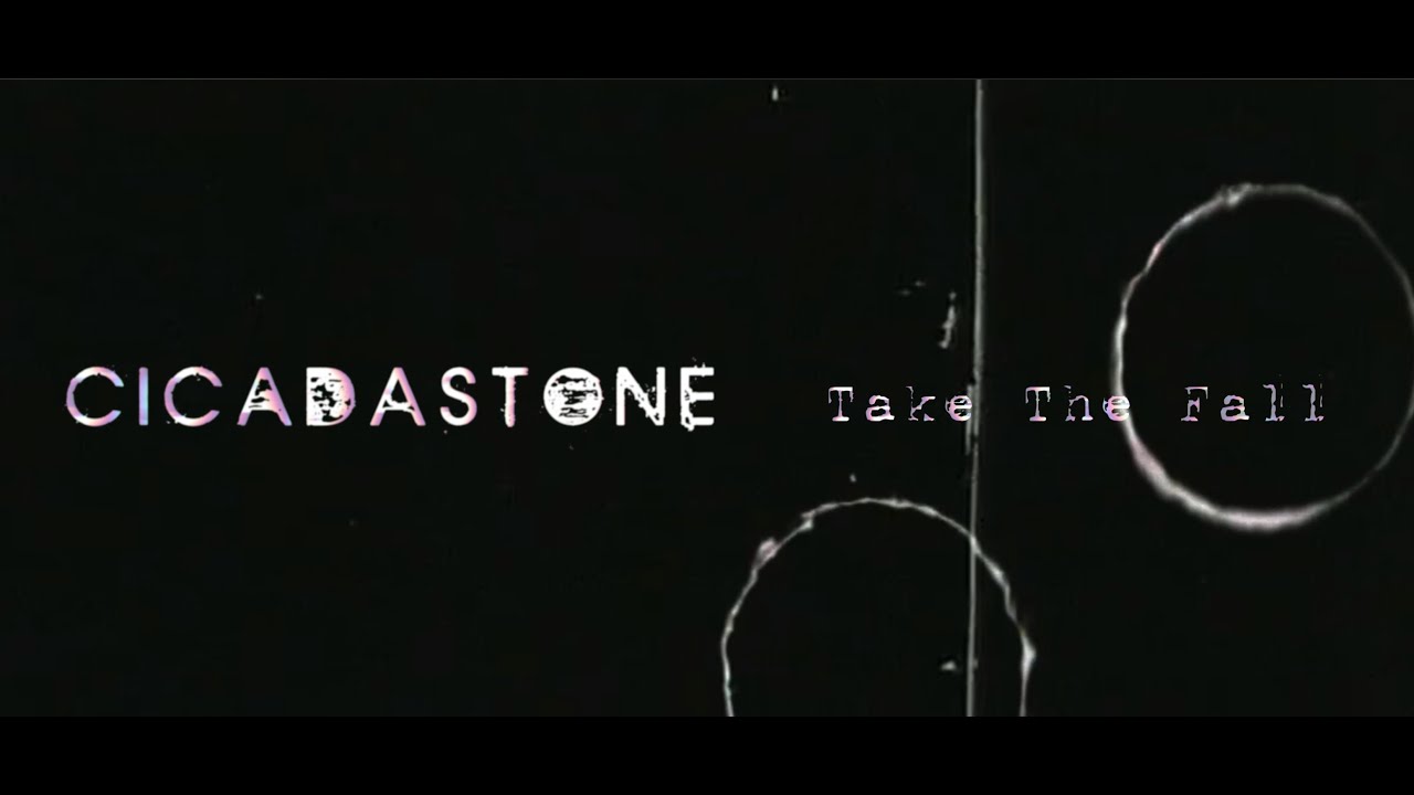 Take The Fall - Official Video