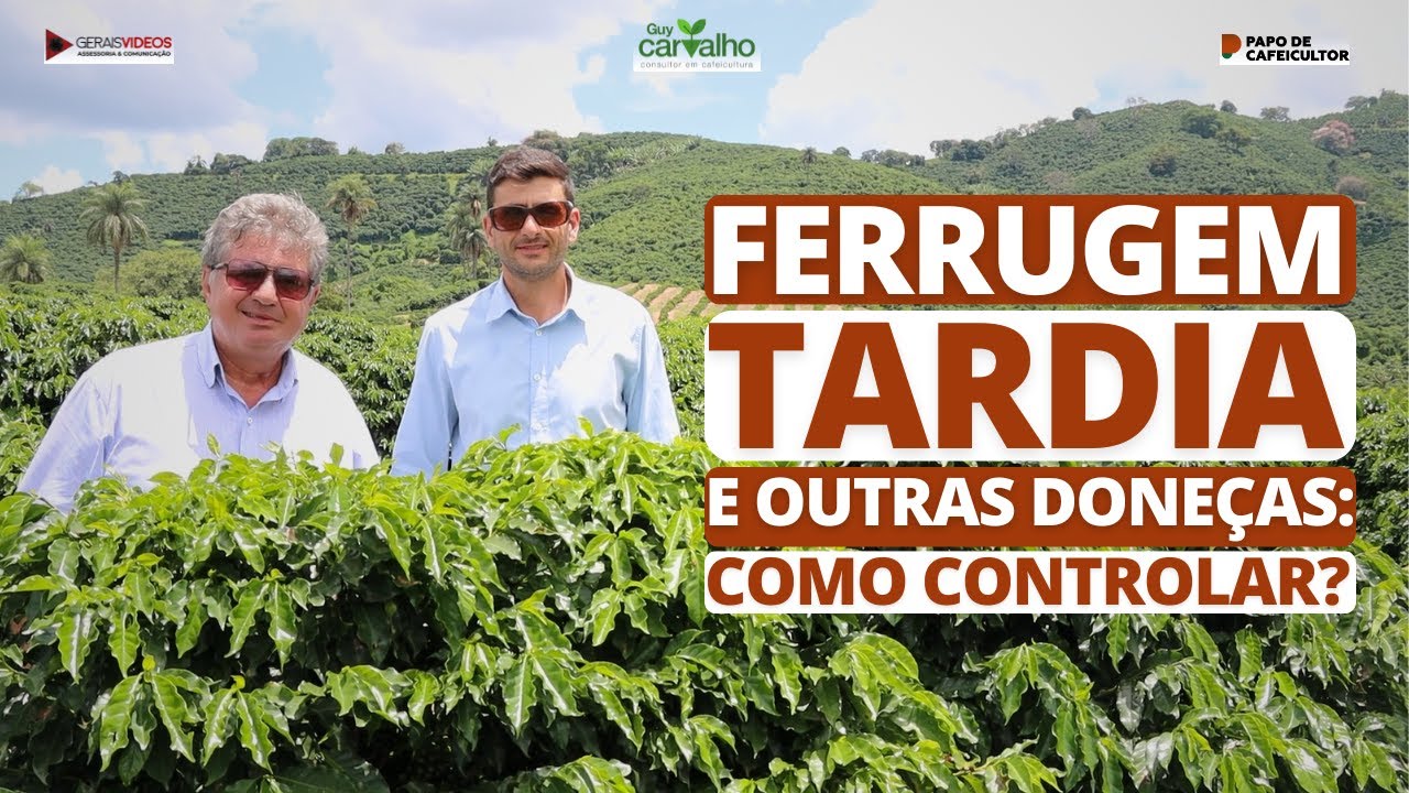 Ferrugem tardia e outras doenças: Como controlar?