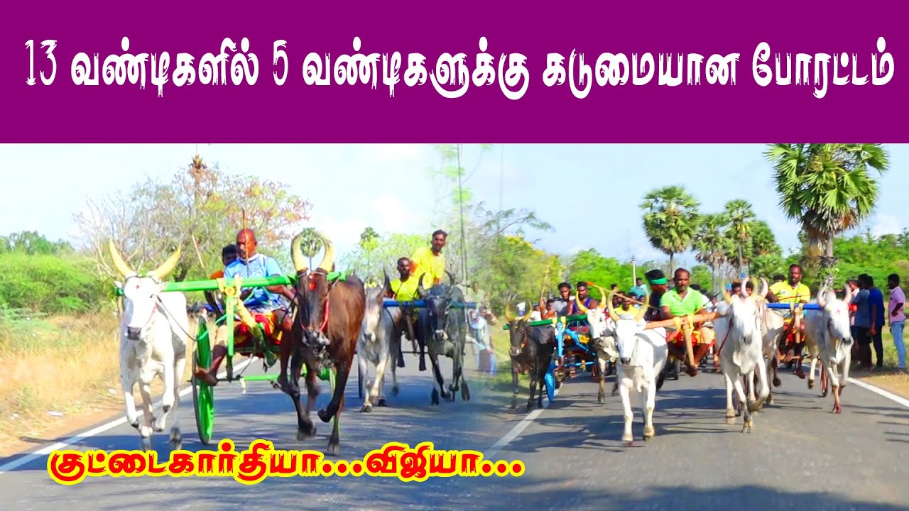 amutham_studio|புதுக்கோட்டை (மா) மிரட்டுநிலை பந்தயம் மாடு சின்ன பிரிவு -1  |/05//04//2022