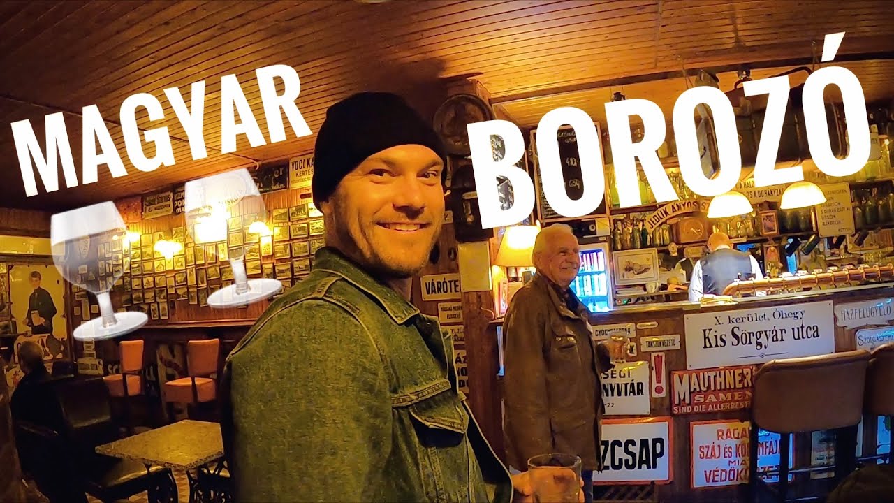 Inside an atmospheric Hungarian wine bar (clip)