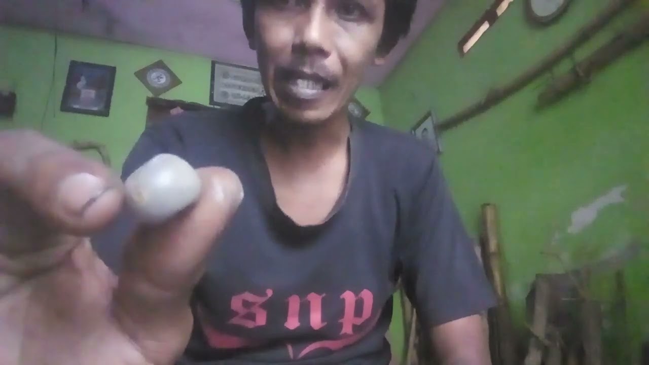 mustika buah bambu