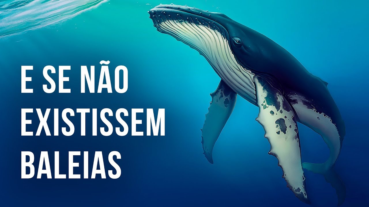 E Se Não Existissem Baleias Na Terra?