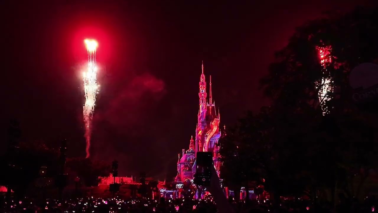 《VLOG 2》 香港迪士尼樂園✨充滿尖叫聲的奇妙旅程💖超級好玩 ​