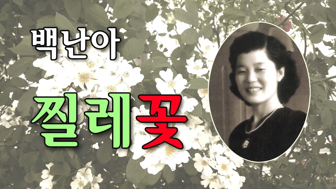 백난아 -찔레꽃/백난아 명곡선-스타365