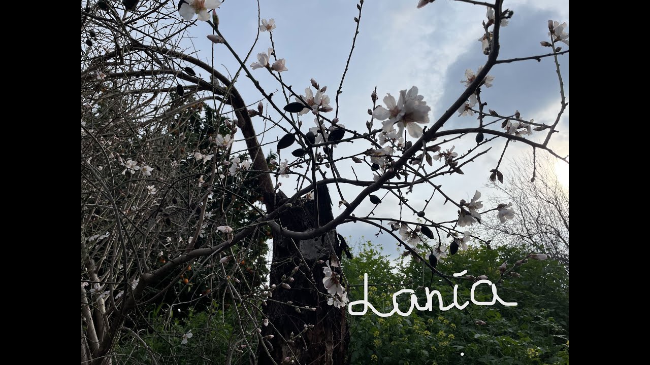 Laneia, Cyprus. Ланея, Кипр