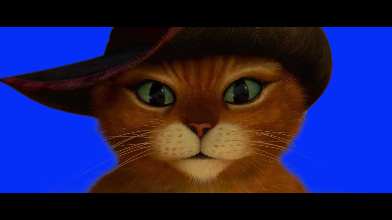 Puss in boots GREEN SCREEN (Blue screen) compilation