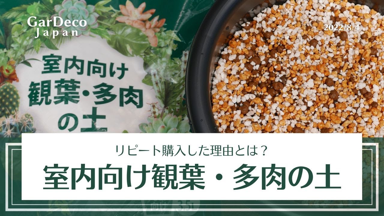 室内向け観葉・多肉の土をリピート購入した理由とは？