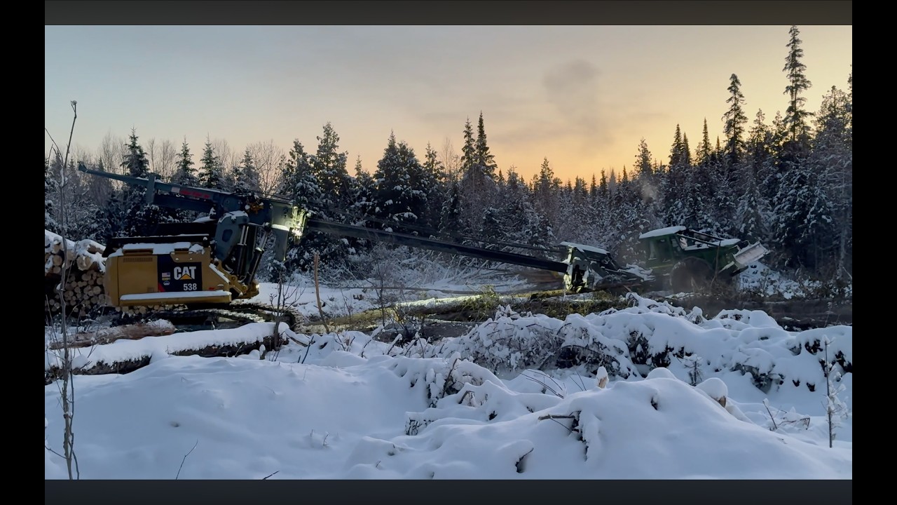 Inside of Northern Maine's Logging Industry