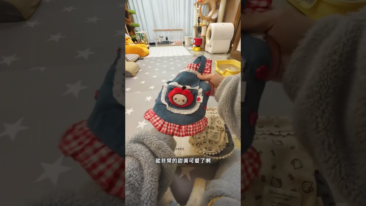 呼啦到家第一天，定点成功～ #西施#新手养狗 #萌宠日常 #养宠进阶指南 #vlog日常