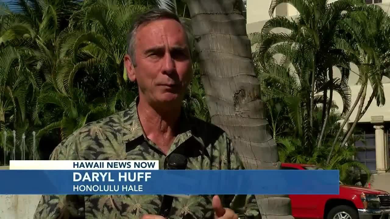 Your guide to Oahu's charter amendment questions
