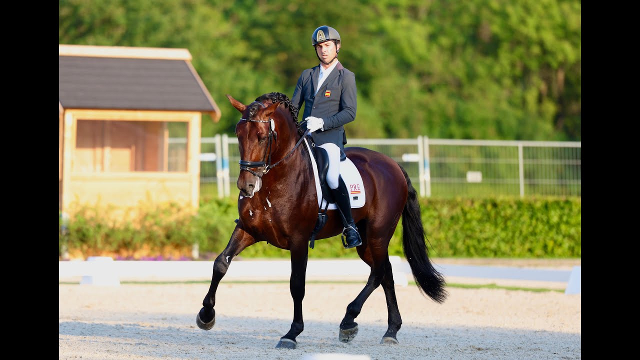 Pedro Hernández y Ofendido Mango en la Small Final de 5 años (70.400%)