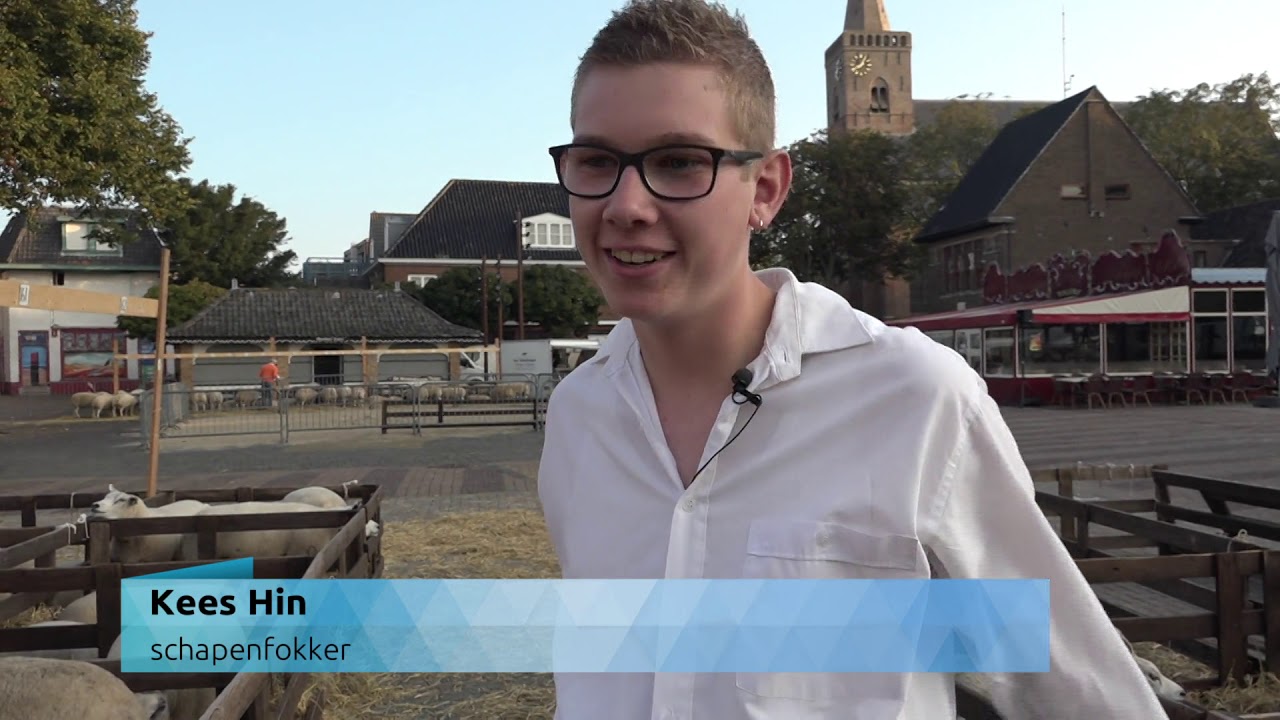 Kees Hin (17) zorgt voor hoognodige verjonging schapenfokkers Texel