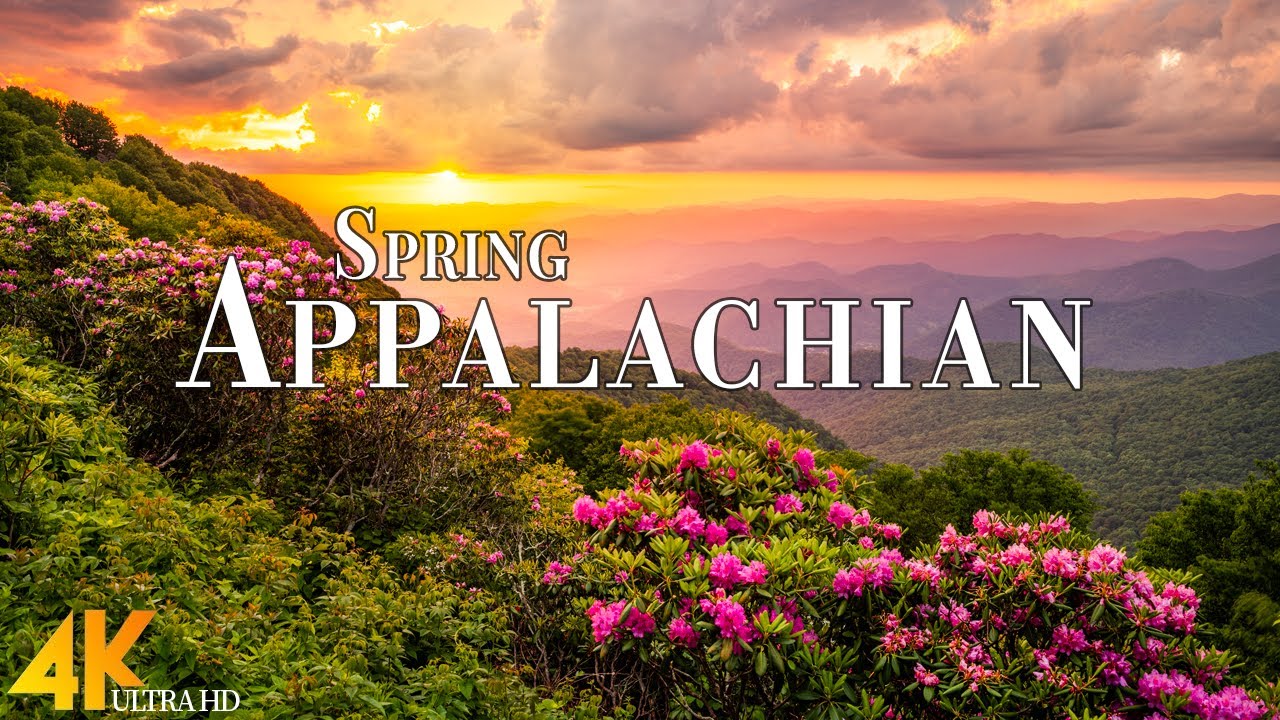 Spring Appalachian 4K Ultra HD • Explore Beautiful Appalachian, Relaxation Film with Calming Music.