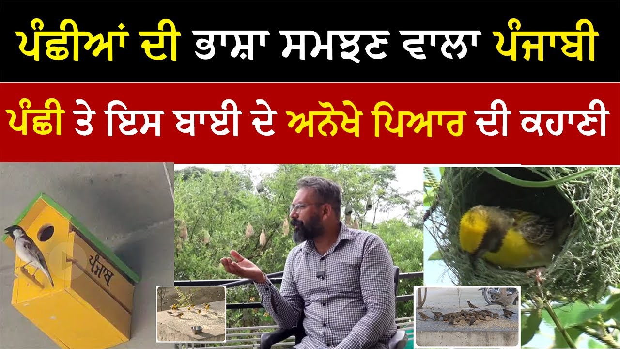 ਪੰਛੀਆਂ ਦੀ ਭਾਸ਼ਾ ਸਮਝਣ ਵਾਲਾ ਪੰਜਾਬੀ ਪੰਛੀ ਤੇ ਇਸ ਬਾਈ ਦੇ ਅਨੋਖੇ ਪਿਆਰ ਦੀ ਕਹਾਣੀ ..!   #brirds #lovebirds