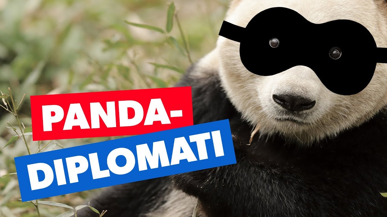 Er pandaer brikker i et storpolitisk spil?