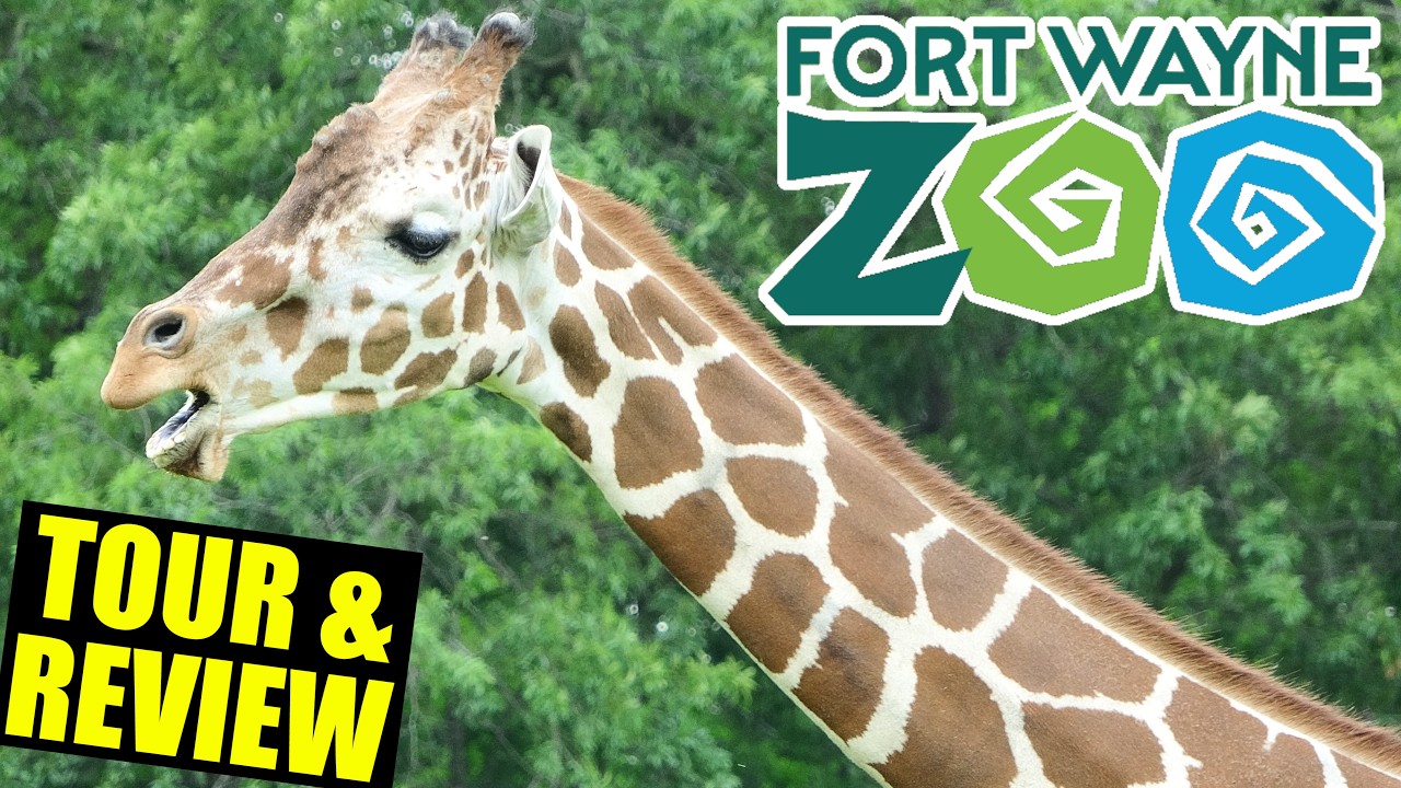 Fort Wayne Zoo Tour & Review 2025
