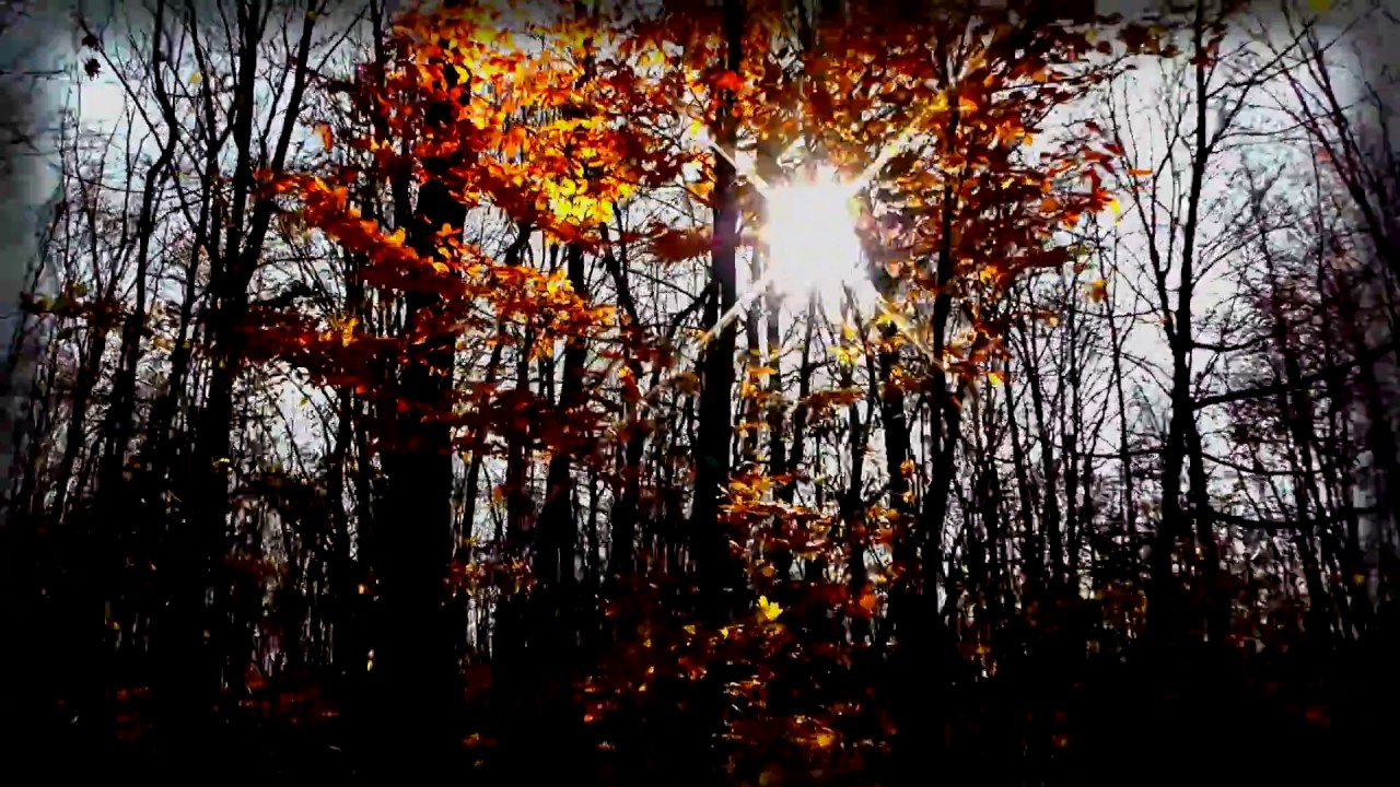 Panasonic HC-V700 Full HD Wide Angle Camcorder Video Test