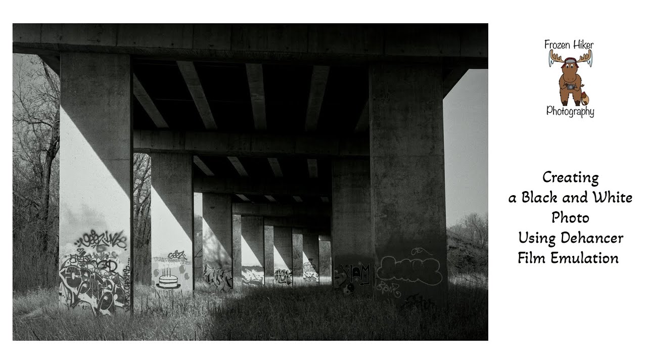 Creating a monochrome image using Dehancer