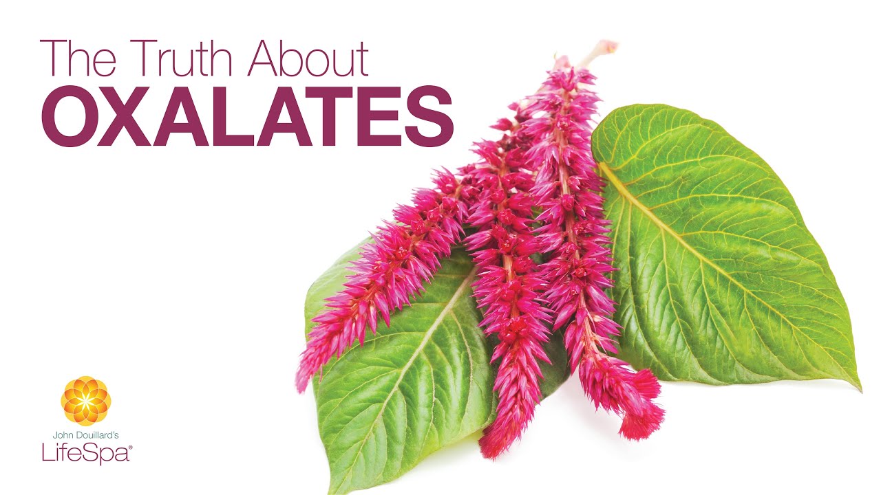 Stop the Oxalate Ban! Get The Truth About Oxalates | Dr. John Douillard's LifeSpa