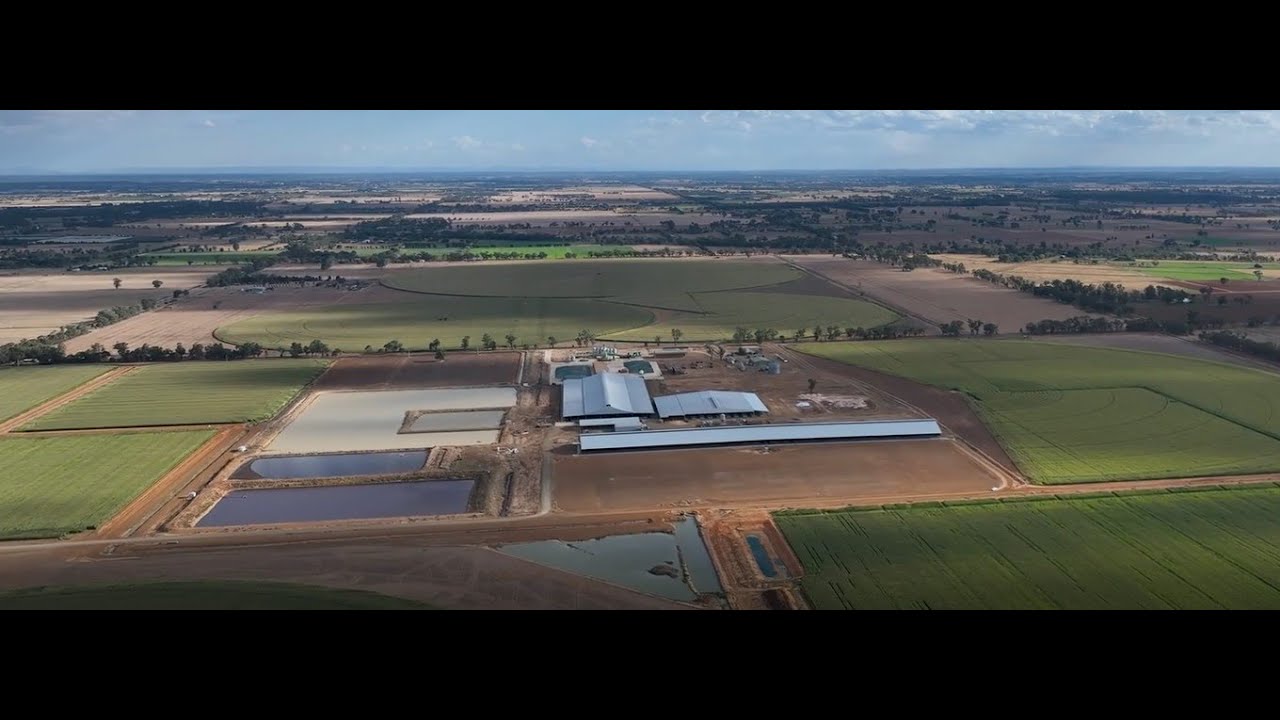 AFMH Dairy Farms Coomboona & Moxey Dairies Overview