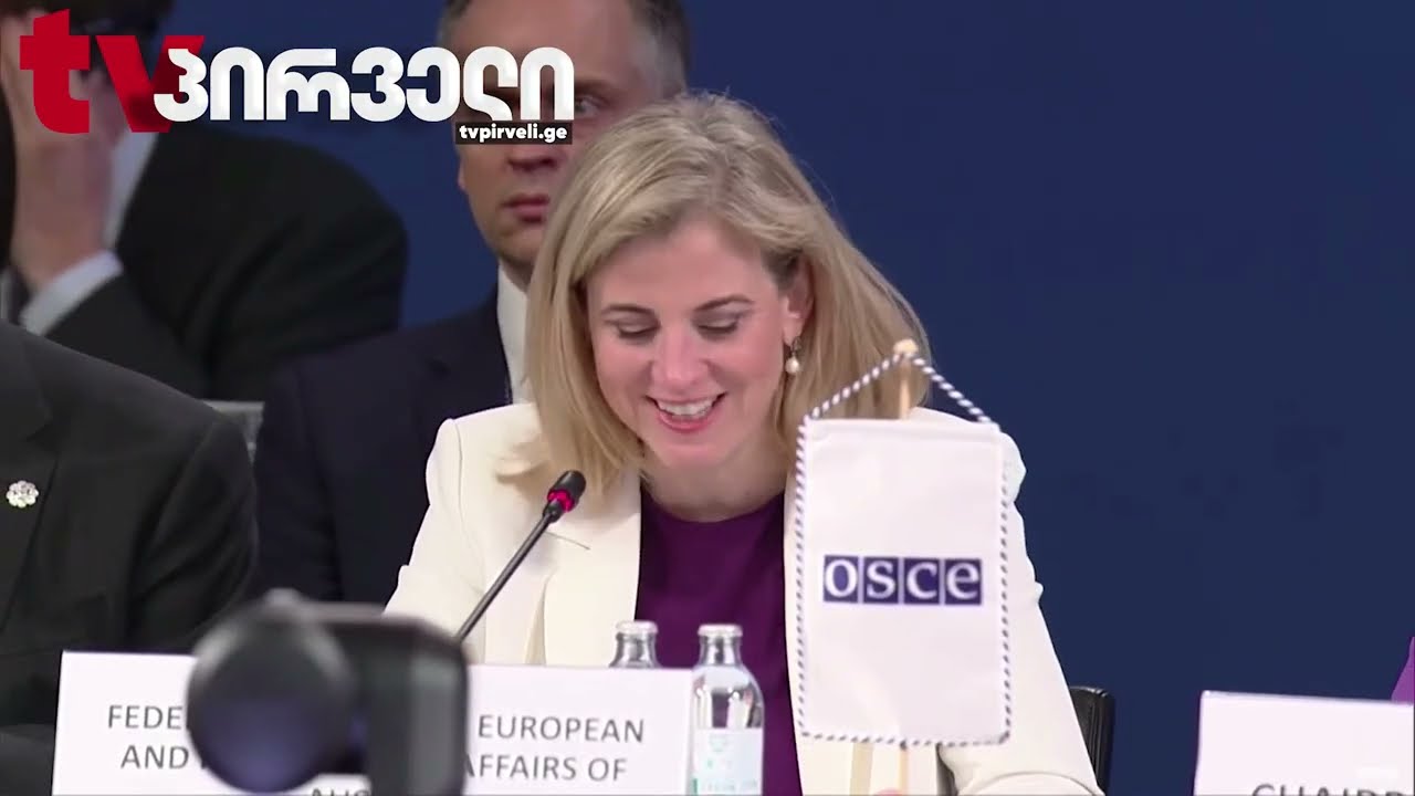 საქართველოში ადამიანების წამების საქმეებს ეუთოს სპეც მისია სწავლობს