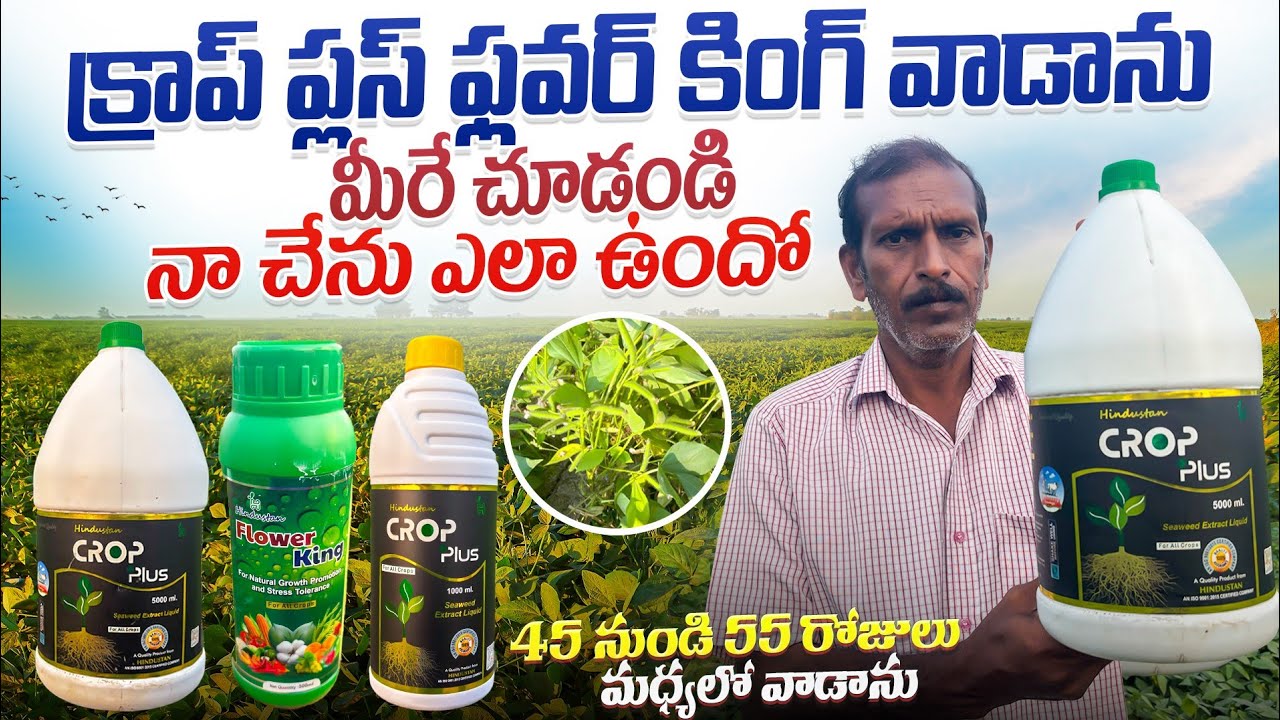  మొక్క నిలబడాలన్నా ఎక్కువ పూత పూయాలన్న Flower King Crop Plus Growth Promoter Raithannaki thoduga 
