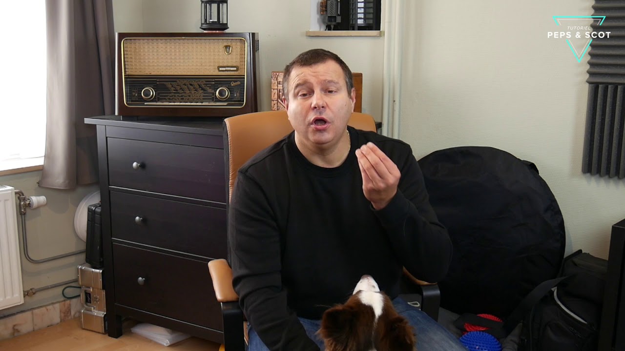 Apprendre le "NON" à son chien