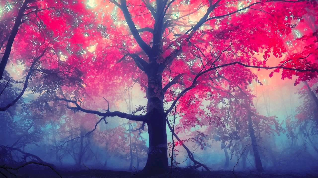 Sorrow - Dreamstone (feat. CoMa)