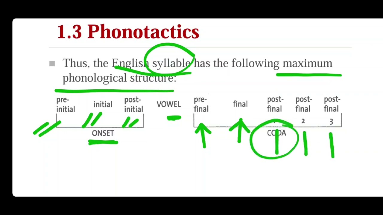Phonetics _Chapter 9 _ Strong Syllables & Weak Syllables