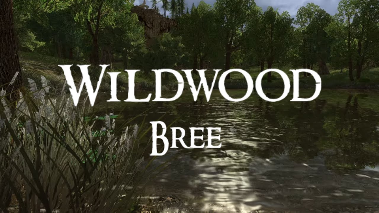 LOTRO | BREE LAND | Wildwood | Music & Ambience | 1 Hour