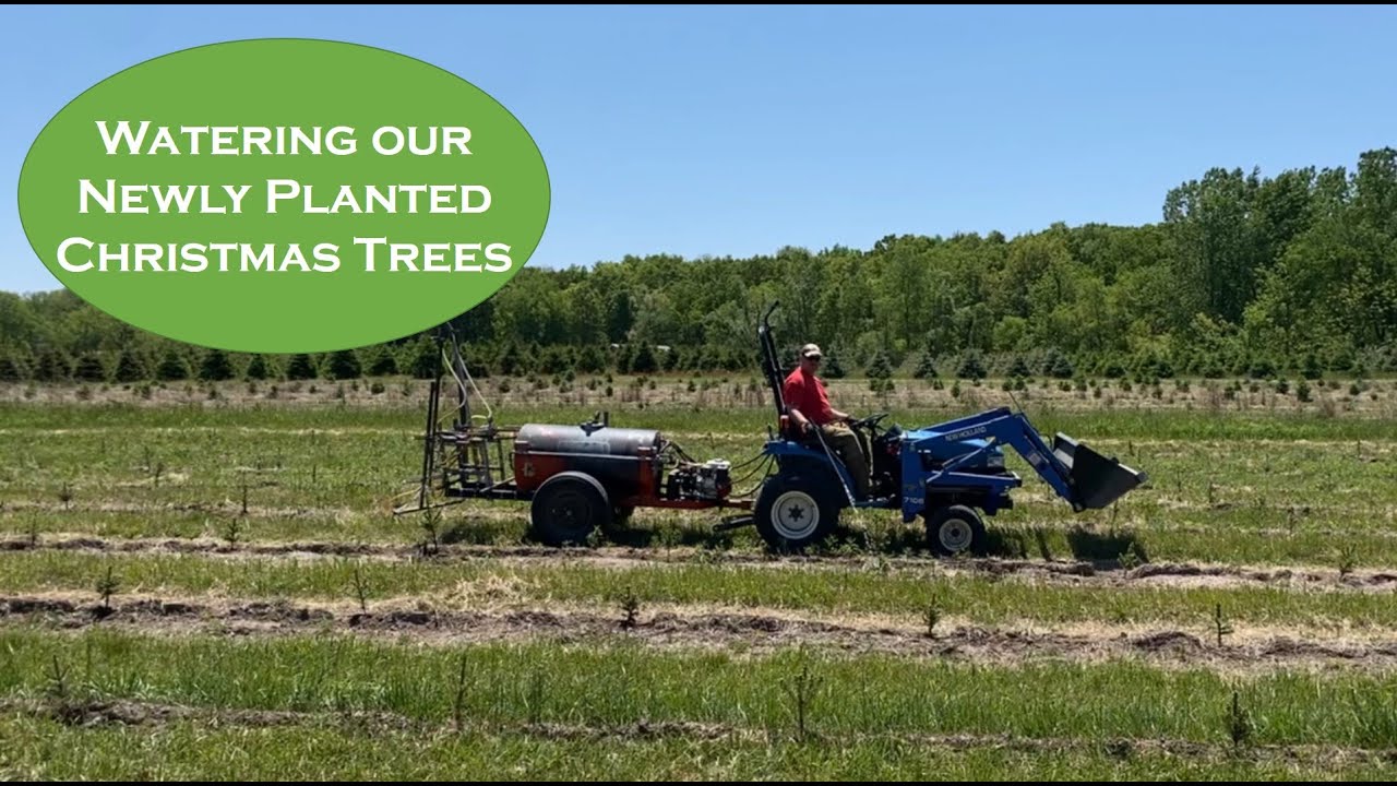 Using a Honda pull tank sprayer to water Christmas Trees. Also, I discuss other uses for our sprayer