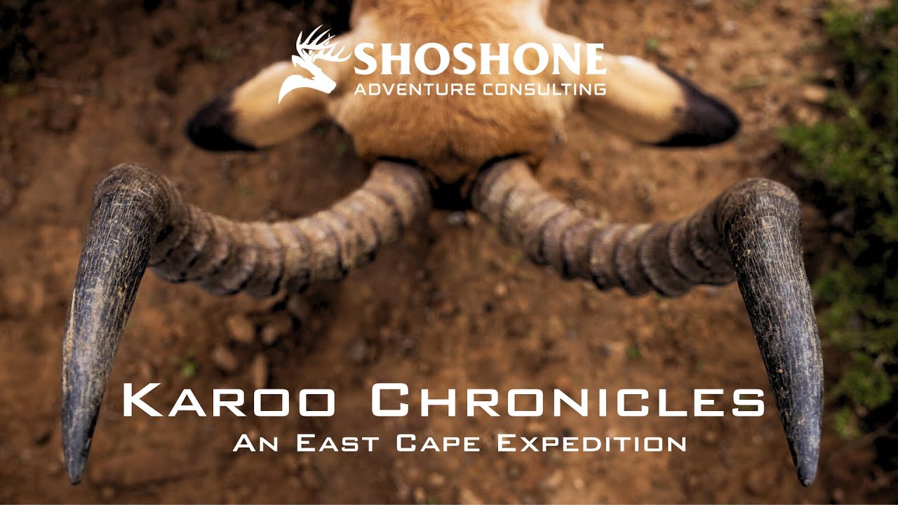 Karoo Chronicles: An East Cape Expedition