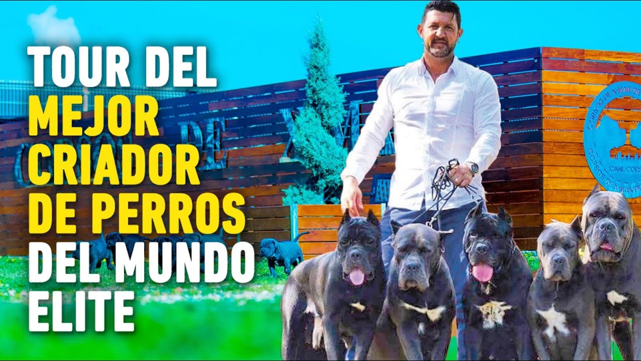 TOUR por El MEJOR CRIADERO de PERROS del MUNDO