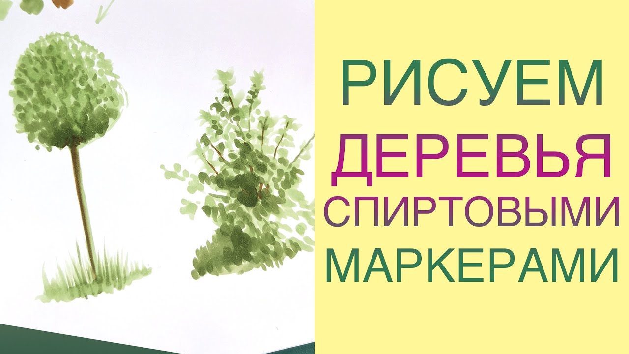 Рисуем деревья спиртовыми  маркерами