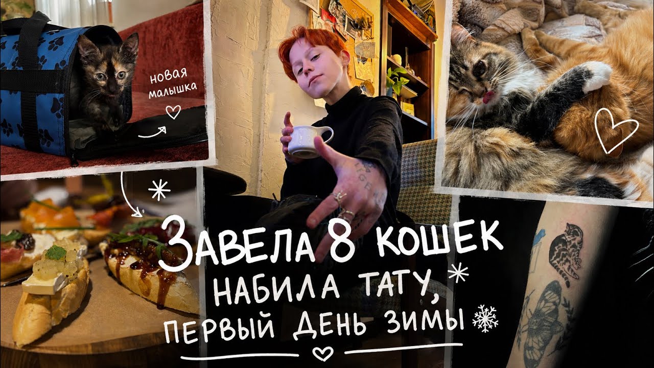 ЗАВЕЛА 8 КОШЕК на НОВЫЙ ГОД | НАБИЛА ТАТУ и ОТМЕТИЛА ПЕРВЫЙ ДЕНЬ ЗИМЫ | WINTER ARC