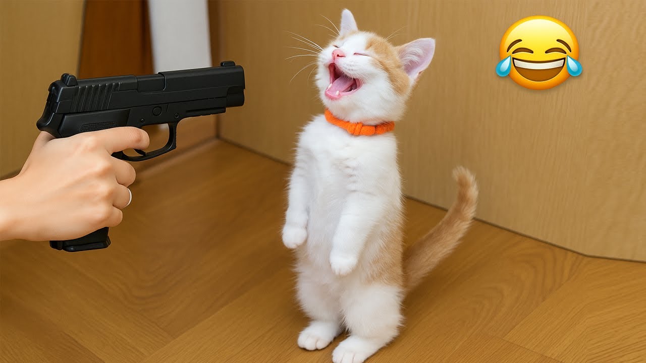 Попробуй не засмеяться 😂 Самые смешные животные 😹🐶 Часть 14