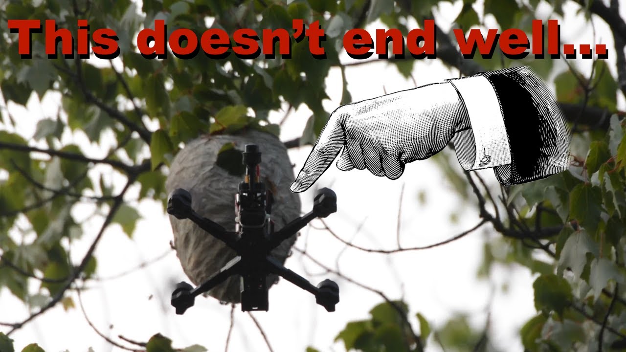 Drones vs. Hornets