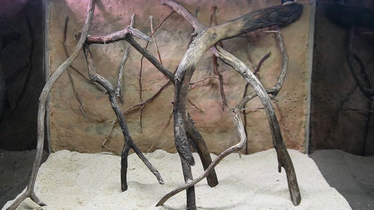 DIY 3D Aquarium  Background. No Foam, No Cement.