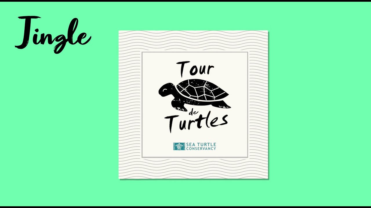 Tour de Turtles | Jingle