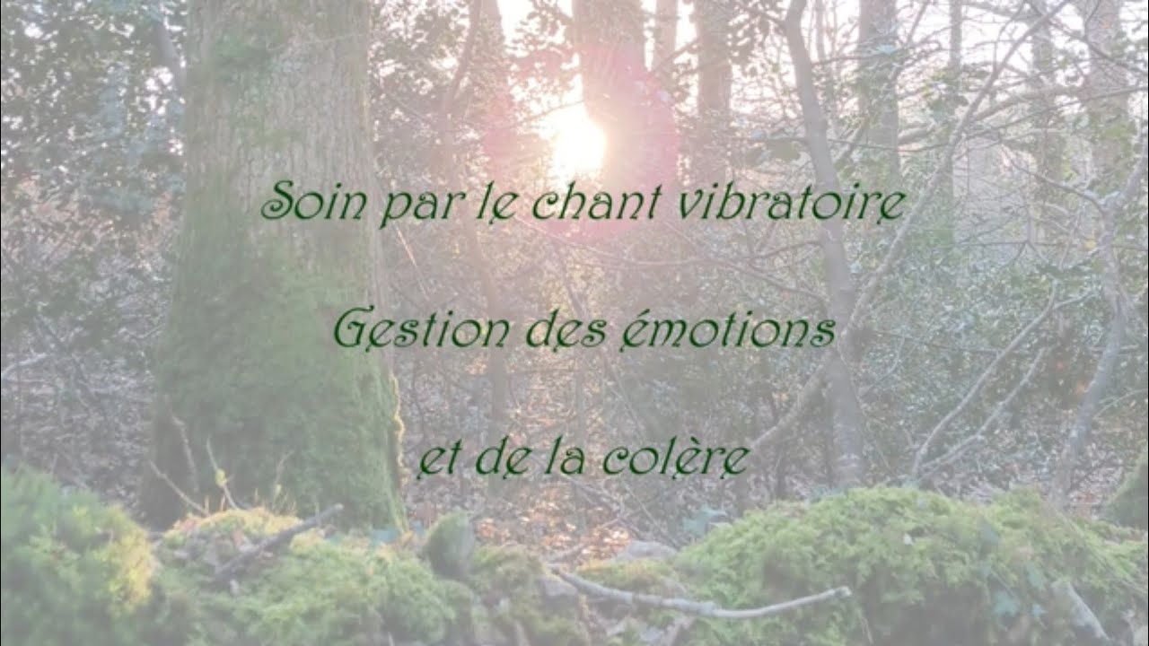 Chant céleste transformateur - Gérer ses émotions et sa colère - S'affirmer et poser ses limites
